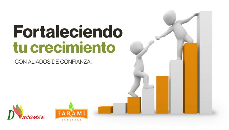 ALIADOS ESTRATEGICOS DISCOMER